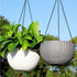 Ampel for various crops